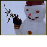 złole snowiego