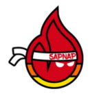 Sapnap is the best