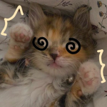 Lush !