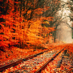 fall is here