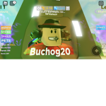 All robux purchases