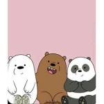 CIoudy Bears