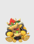 Bowser Junior group