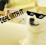Doge Gang Fan Club