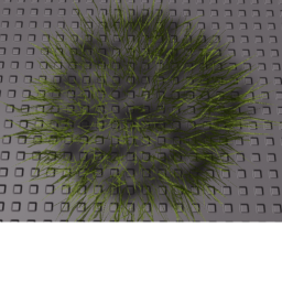 Green Grass