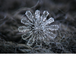 SnowFlake Team
