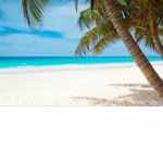 Tropical Paradise People