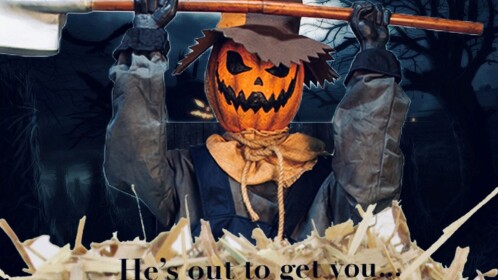 Pumpkin Patch 🎃Horror🎃