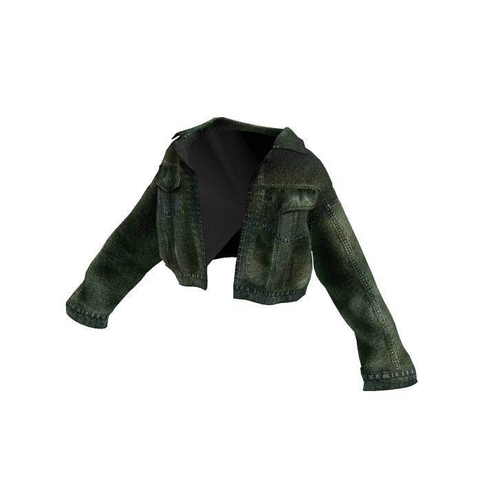 MARCHÉE - Washed Green Currency Denim Jacket