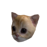 Mini El Gato Cat - Dynamic Head