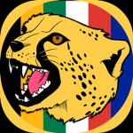 Cape Town Cheetahs