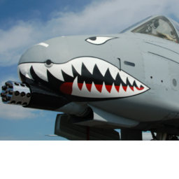 sussy a-10 game!?!?!?!