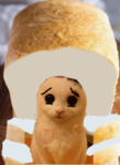 Bread of the cult