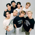 StrayKids fan group.