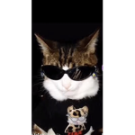 Sunhflower_roblox