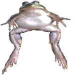 The Church Of Frog Group Thumbnail