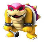 Roy Koopa Fans