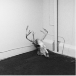 The wendigo’s skull