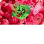 VERY MEMEY MELONS