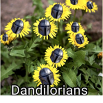The Dandalorians