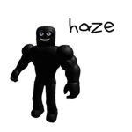 *HAZE*