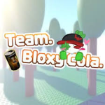 Team Bloxys