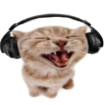 Headphone Cat