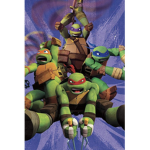 Da teenage mutant ninja turtles