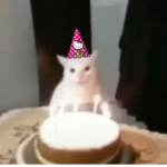 Lxnm Cats!!