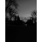 Stari skies