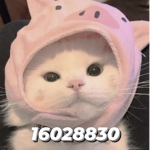 qqtns