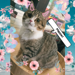 Kiyowoah