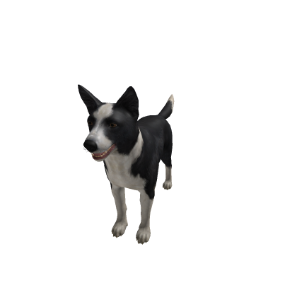 asset-foundry-border-collie