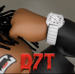 d7t studios