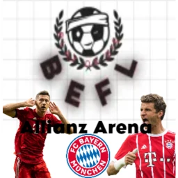 Allianz Arena Stadium | BEFL icon