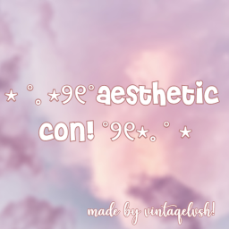 aesthetic con!