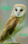 The official Owl Squad fan group