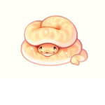 SNEKS THAT SUPPORT LGBTQ