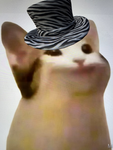 Popcatxio club