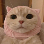 571