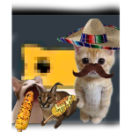 EL GATO ES MEXICANO