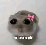 Hamsti Gang