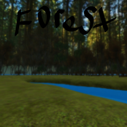 Sunrise Forest