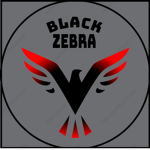The Black Zebras