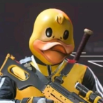 the ducks community