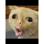 El-uh