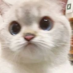 ♡