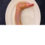 Duck Froggo ur mom clan