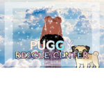 Puggy Rescue Center!