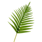 Stephen’s closet <3